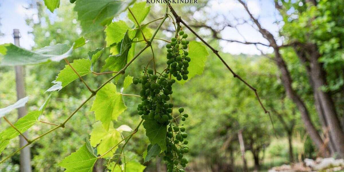 Grundstück Ostfildern Kemnat - 159.000&euro; | Angebot:25424474