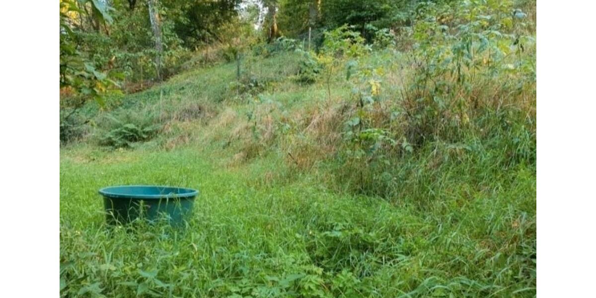 Grundstück Stadtroda - 10.000&euro; | Angebot:26089427