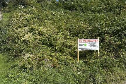 Grundstück zu verkaufen in Lörrach 749.000 € 762 m² zimmer