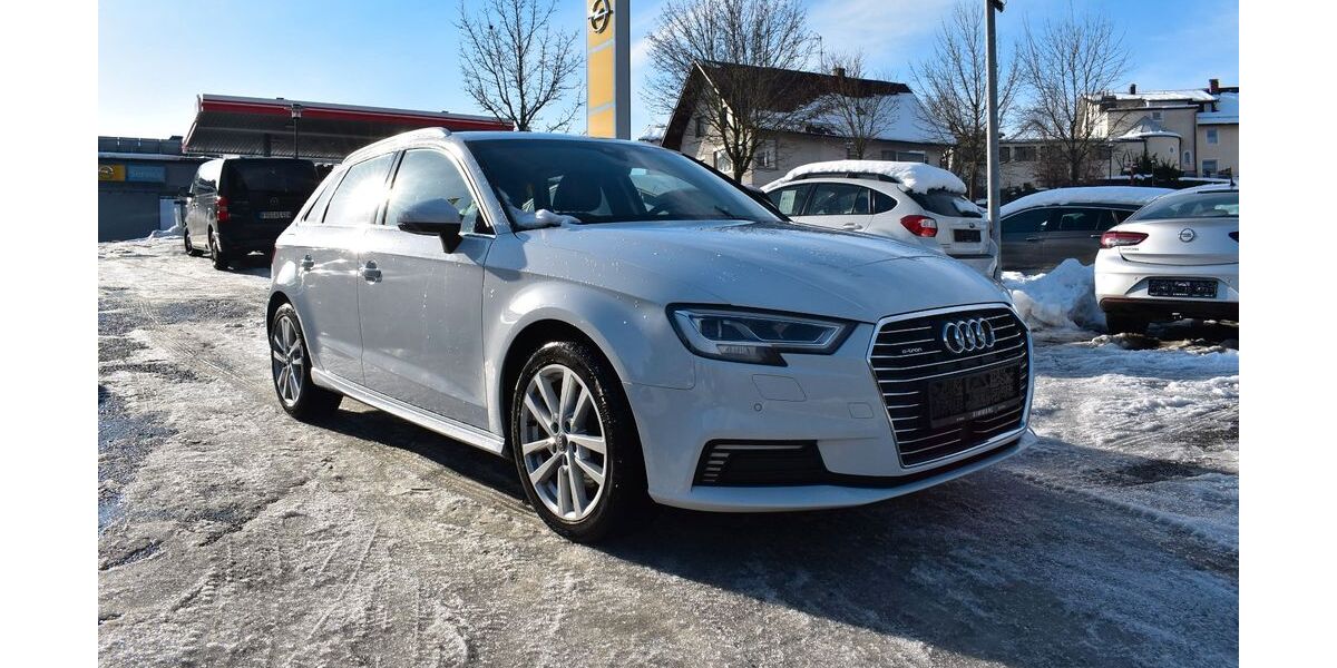 Audi A3 78.800 km 20.650 &euro; Schönberg 94513