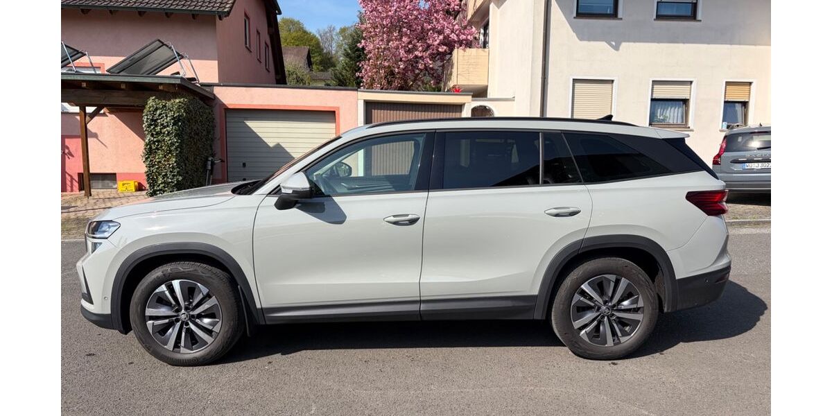 Skoda Kodiaq 21.300 km 43.900 &euro; Burgberg 87545