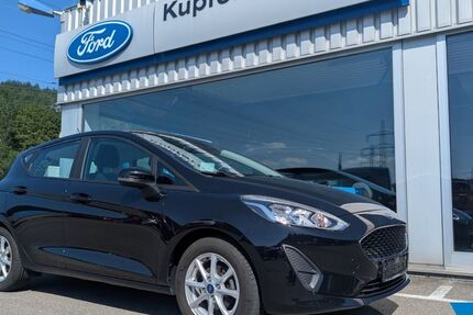 Ford Fiesta 119.600 km 9.990 &euro; Tuttlingen 78532