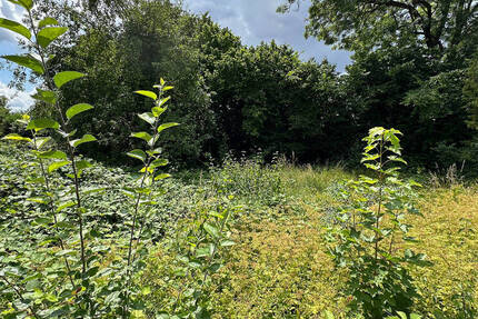 Großes Grundstück in Lechhausen, teilbar zimmer