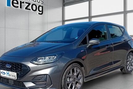 Ford Fiesta 20.800 km 18.490 &euro; Schramberg 78713