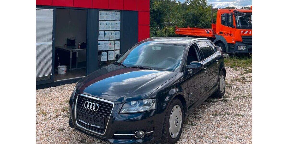Audi A3 218.400 km 3.500 &euro; Ergoldsbach 84061
