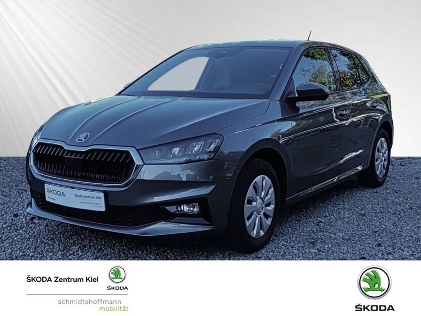 Skoda Fabia 5.000 km 24.980 € Kiel 24106