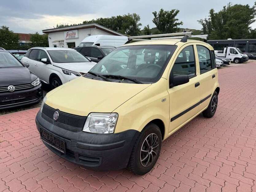 Panda