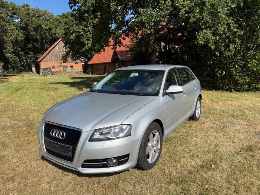 A3