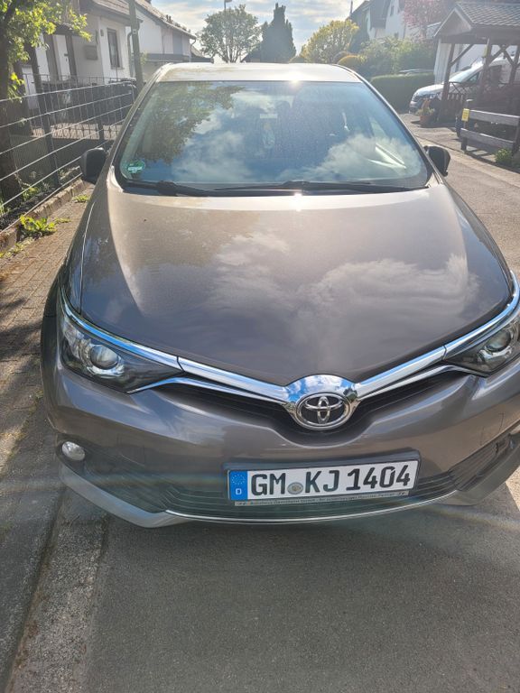 Auris