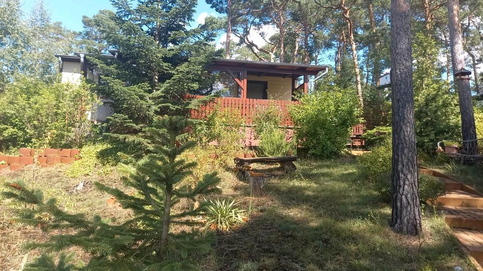 Bungalow Schönebeck (Elbe) Pretzien - 3 Zimmer, 35 m&sup2;, 35.000&euro; | Angebot:26356192