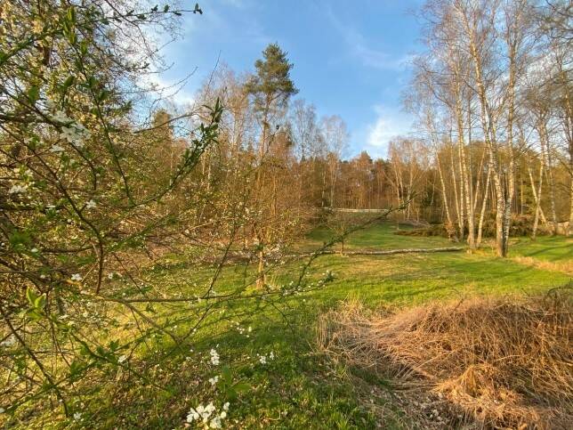 Grundstück Flossenbürg Altenhammer - 53.000&euro; | Angebot:22547384