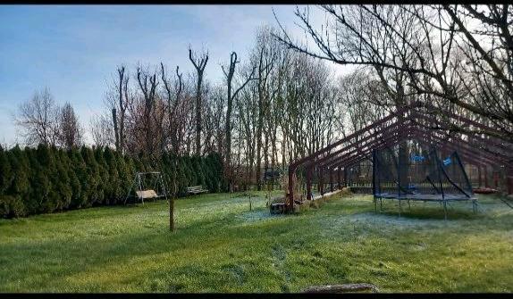 Einfamilienhaus Wettin-Löbejün Löbejün - 5 Zimmer, 230 m&sup2;, 360.000&euro; | Angebot:26271577