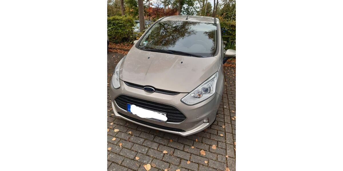 Ford B-Max 196.957 km 4.200 &euro; Sauensiek 21644