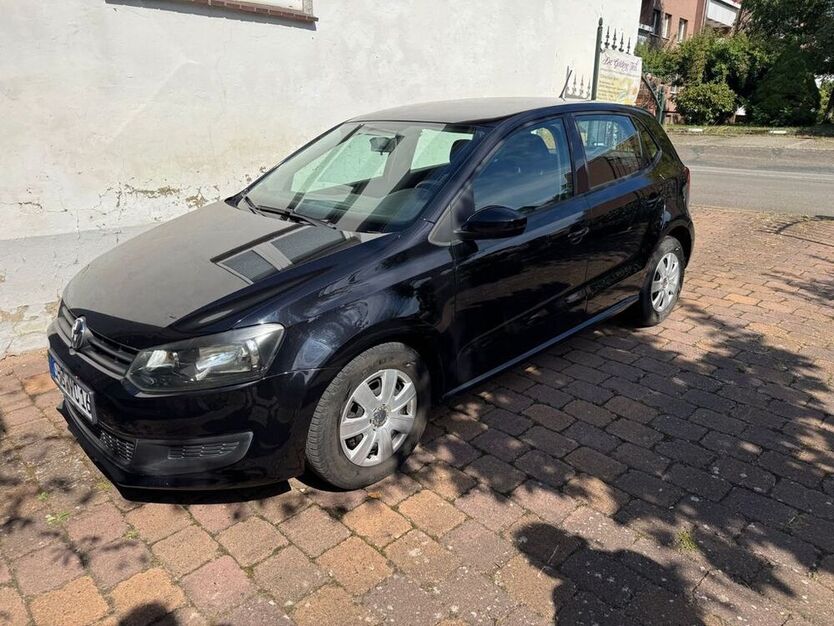 Polo