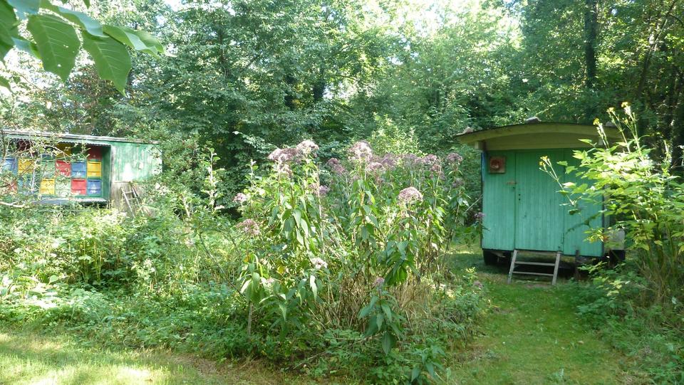 Mehrfamilienhaus, Wohnhaus Crivitz - 550.000&euro; | Angebot:25342902