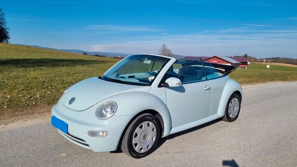 Beetle