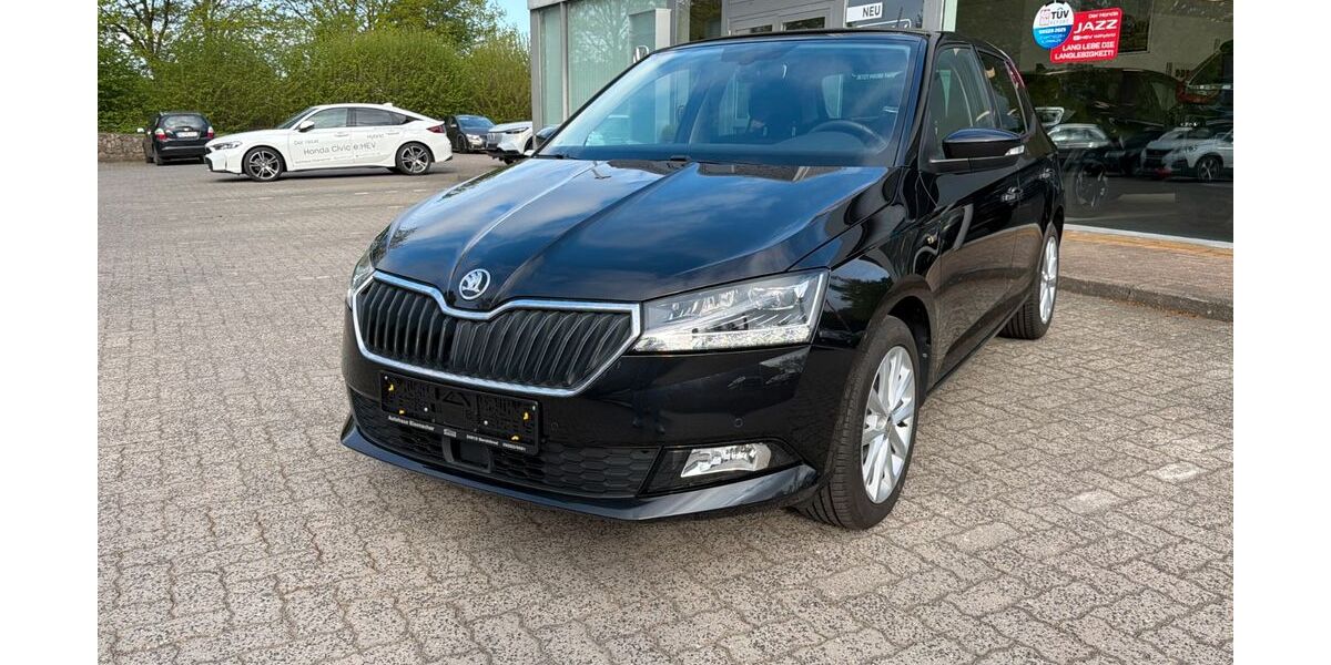 Skoda Fabia 27.850 km 13.990 &euro; Bornhoeved 24619