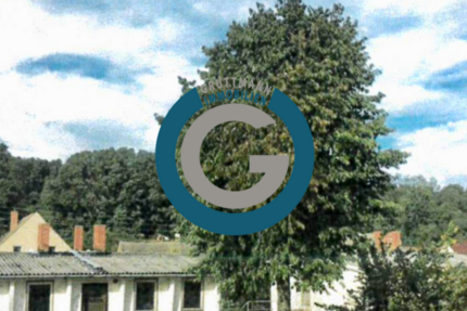 Haus zum Kaufen in Neuhardenberg 490.000 € 465 m² 20 zimmer