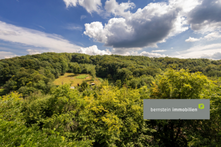 Haus Rösrath Hoffnungsthal Hoffnungsthal - 5 Zimmer, 189 m&sup2;, 680.000&euro; | Angebot:26670676