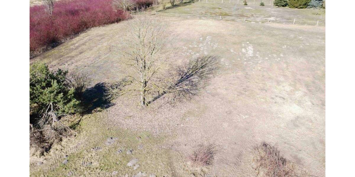 Grundstück Sanitz Wendorf - 122.000&euro; | Angebot:26674654