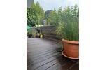Einfamilienhaus Wittenborn - 2 Zimmer, 40 m&sup2;, 115.000&euro; | Angebot:26857959