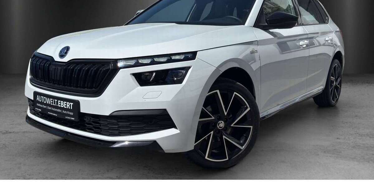 Skoda Kamiq 33.800 km 24.890 &euro; Weinheim 69469