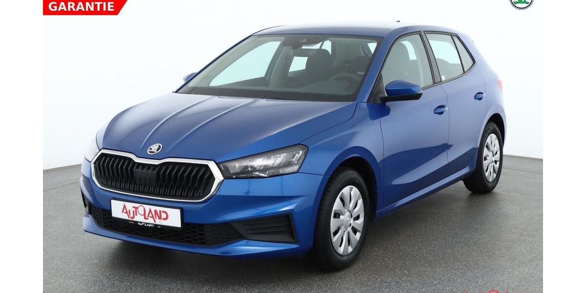 Skoda Fabia 18.326 km 15.990 &euro; Brehna 06796