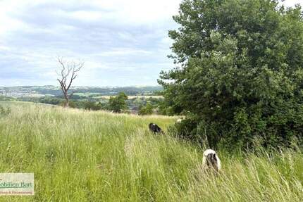 EBENES GRUNDSTÜCK MIT TOLLER FERNSICHT U. PLÄNEN FÜR EIN ARCHITEKTENHAUS! zimmer