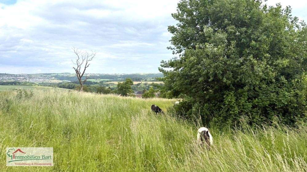 EBENES GRUNDSTÜCK MIT TOLLER FERNSICHT U. PLÄNEN FÜR EIN ARCHITEKTENHAUS! zimmer