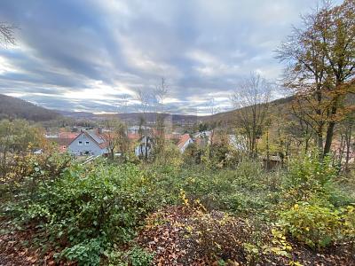 IHR RÜCKZUGSORT: 960 M² INMITTEN DER NATUR - Grundstück Hannoversch Münden | Angebot:27095291