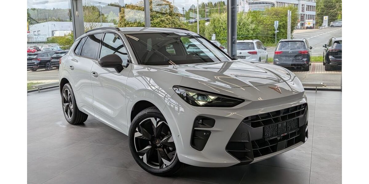 Cupra Terramar 12.436 km 32.950 &euro; Naila 95119