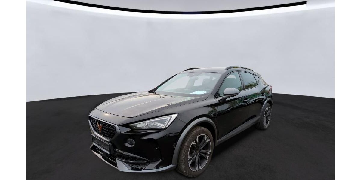 Cupra Formentor 164.583 km 17.990 &euro; Braunschweig 38122