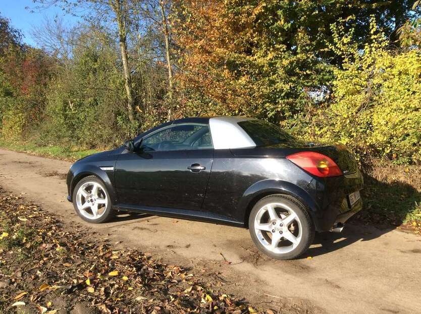 Tigra