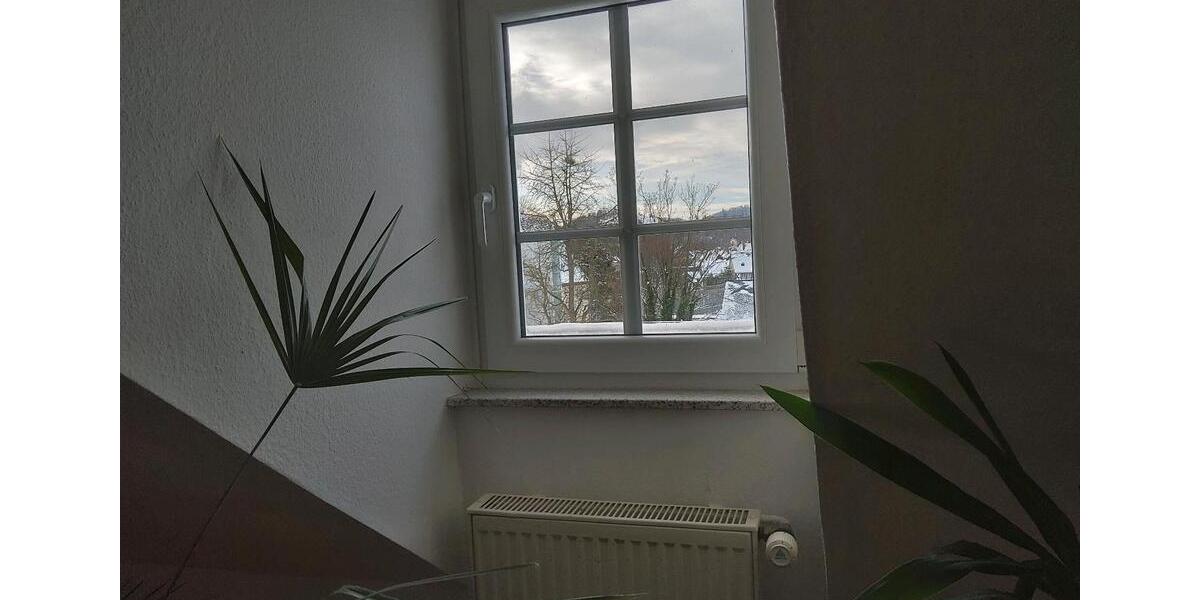 Goslar 2Zi DG- Wohnung 3.OG ruhig und central 1 zimmer