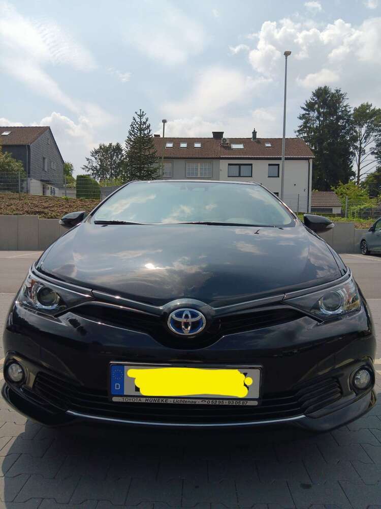 Auris