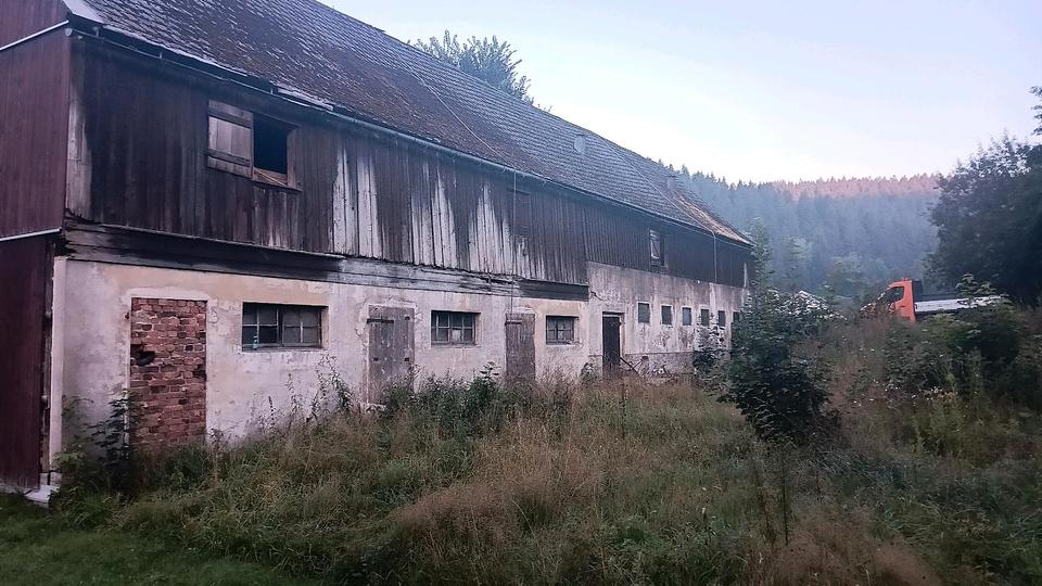 Einfamilienhaus Eibenstock - 10.000&euro; | Angebot:25993829