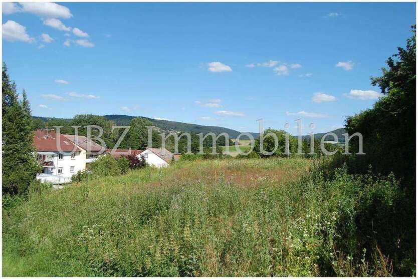 Grundstück zu verkaufen in Schöllkrippen 159.000 € 700 m²