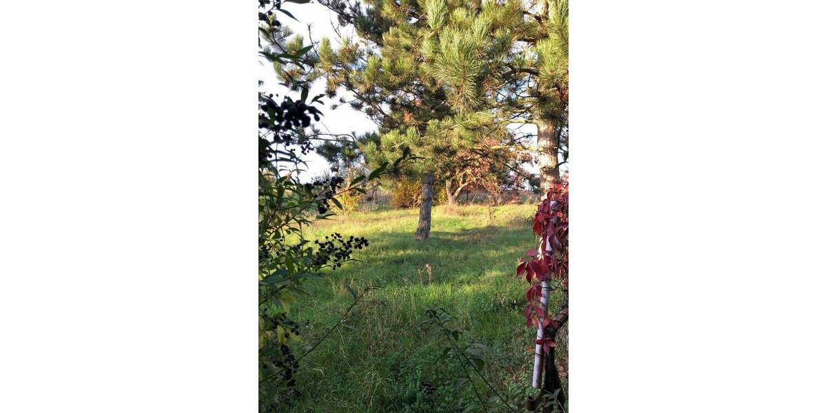 Einfamilienhaus Querfurt Weißenschirmbach - 5 Zimmer, 123 m&sup2;, 59.000&euro; | Angebot:25740254