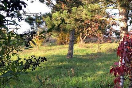 Haus Querfurt Weißenschirmbach - 5 Zimmer, 123 m&sup2;, 59.000&euro; | Angebot:25740254