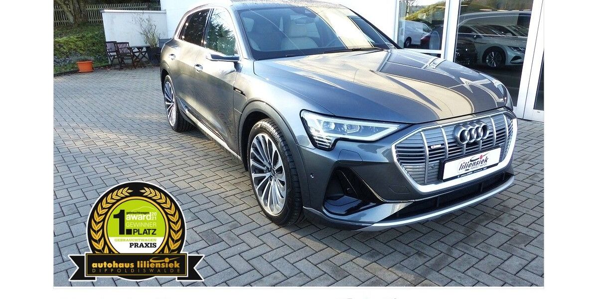 Audi e-tron 78.800 km 47.970 &euro; Dippoldiswalde 01744