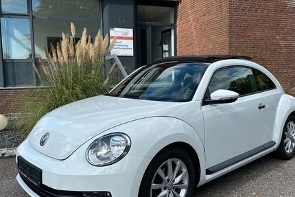 VW Beetle