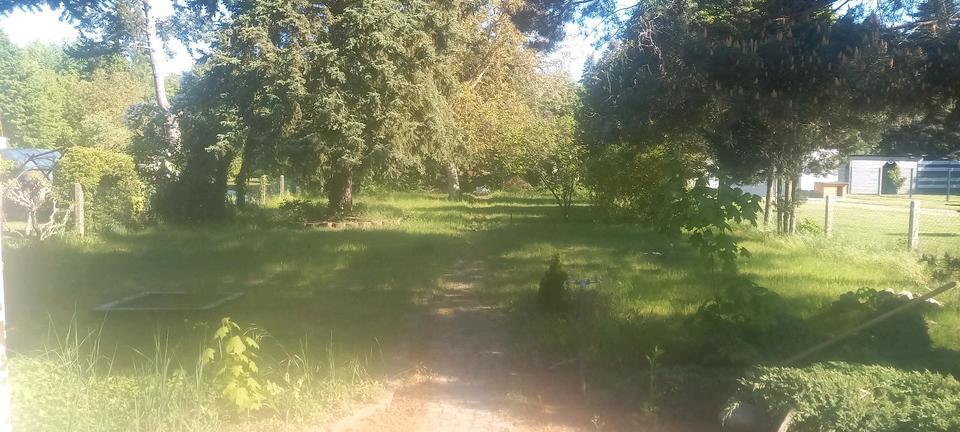Einfamilienhaus Genthin - 120.000&euro; | Angebot:26816258