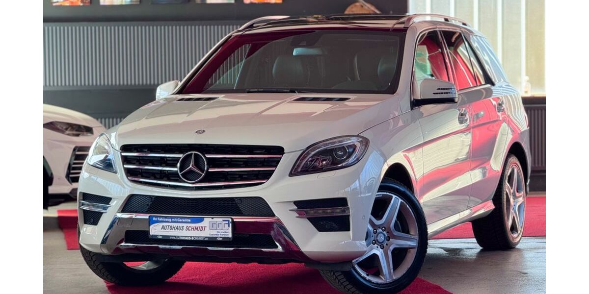 Mercedes-Benz ML 350 99.999 km 27.400 &euro; Rückholz 87494