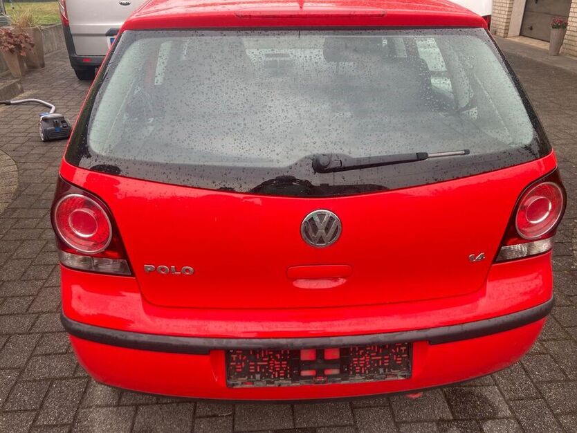 Polo