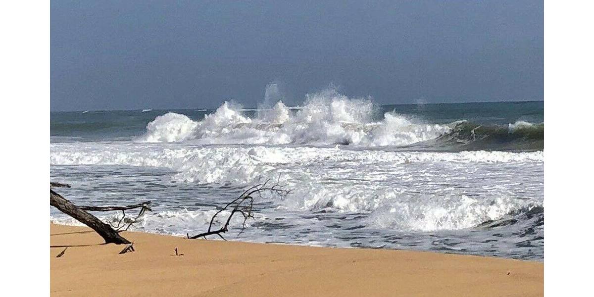 Grundstück in Costa Rica in einer der blauen Zonen der Erde - Grundstück Mannheim Innenstadt | Angebot:6421934