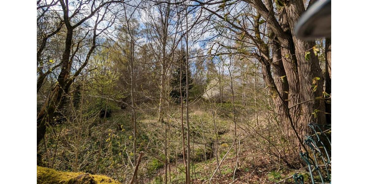 Einfamilienhaus Suhl Schmiedefeld am Rennsteig - 9 Zimmer, 230 m&sup2;, 52.000&euro; | Angebot:26197985