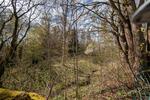 Einfamilienhaus Suhl Schmiedefeld am Rennsteig - 9 Zimmer, 230 m&sup2;, 52.000&euro; | Angebot:26197985