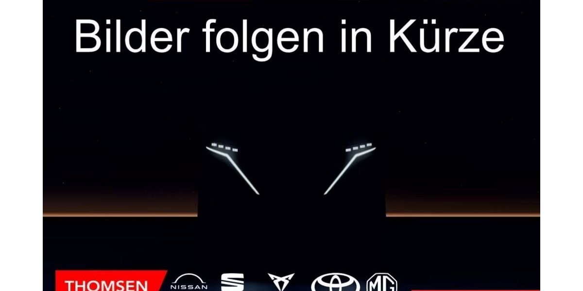 Cupra Formentor 21.550 km 32.685 &euro; Itzehoe 25524