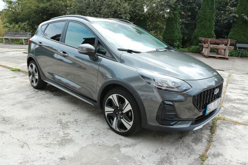 Ford Fiesta 16.300 km 18.900 € Kötz 89359