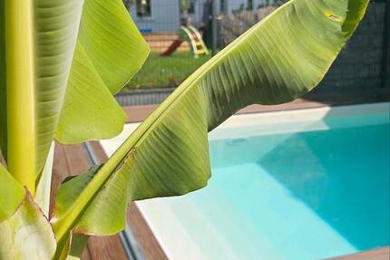 Stadtvilla in Erlensee 7 zimmer